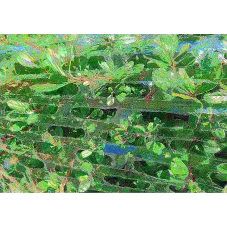 Western Plastics Film Air Flow Ex-Core 17"x1000', PK4 WAF03